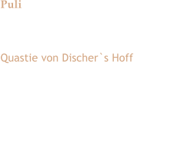 Puli Int. Champion, Deutscher Champion VDH+PuK mehrfacher Klubsieger Quastie von Discher`s Hoff VDH-PuK 684/08 geb. 05.05.2008 HD: A PL: Frei Augen: MPP Iris-Iris Farbgenetik: E/E, KB/KB, Ay/a 1 Wurf am 09.06.2012, 1/4 Welpen